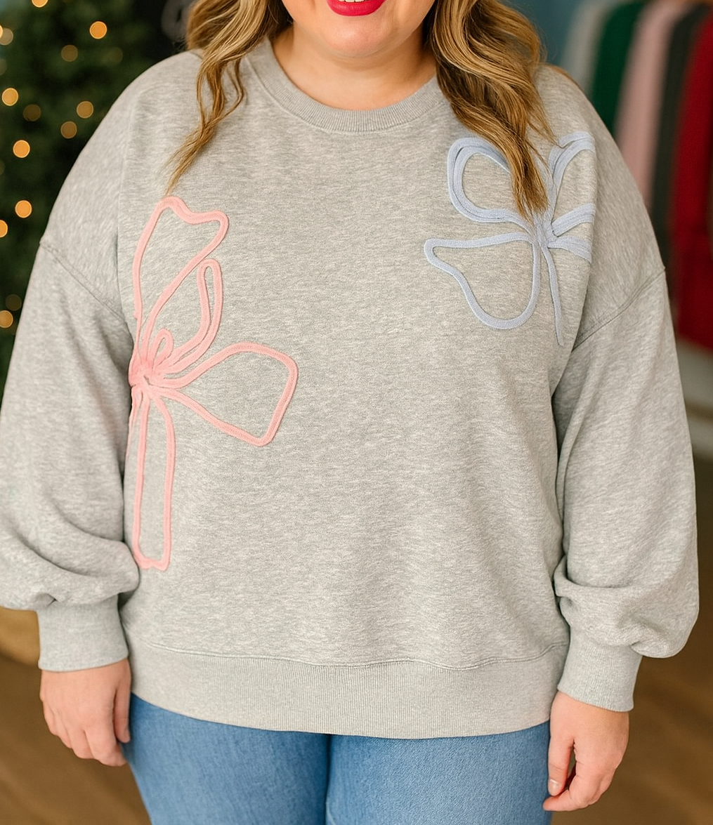 Plus Size Embroidered Sweatshirt FB